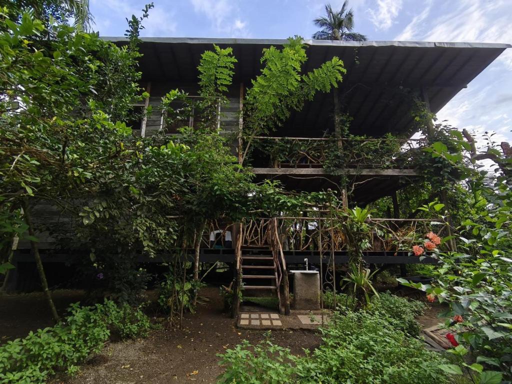 Majagua, Bahía Solano (precios actualizados 2026)