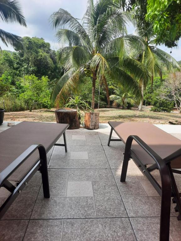 two picnic tables on a patio with palm trees at Abelha & Peixe Boi in Santo Amaro