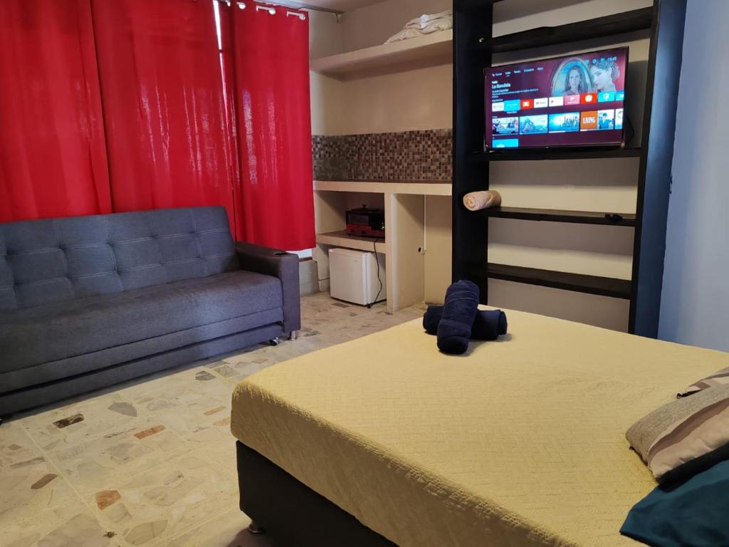 TV a/nebo společenská místnost v ubytování Hostal vitta