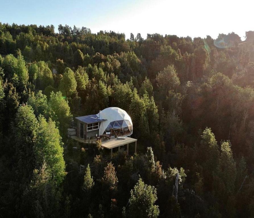 an aerial view of a house in the middle of a forest at Domobosque in Ancud