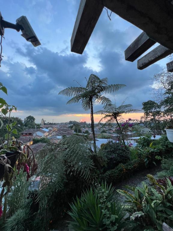 a palm tree in a garden with a sunset in the background at Atardecer De Salento in Salento