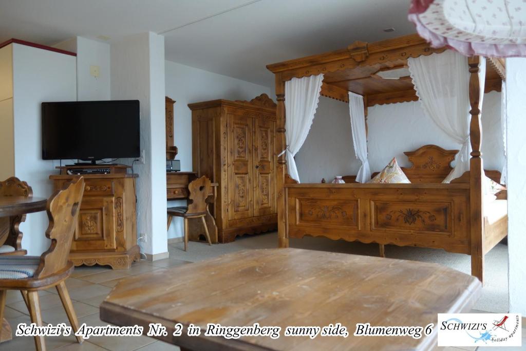 TV a/nebo společenská místnost v ubytování Schwizi's Apartments