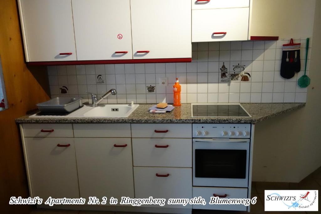 Kuchyň nebo kuchyňský kout v ubytování Schwizi's Apartments