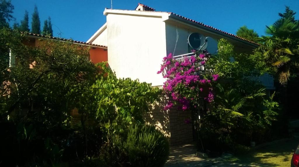 una casa con flores rosas delante de ella en Apartment Pletikos, en Premantura