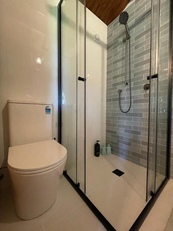 a bathroom with a toilet and a shower at Jacaranda Cottage 5 min by Train or 7 min drive to Parramatta City in Wentworthville