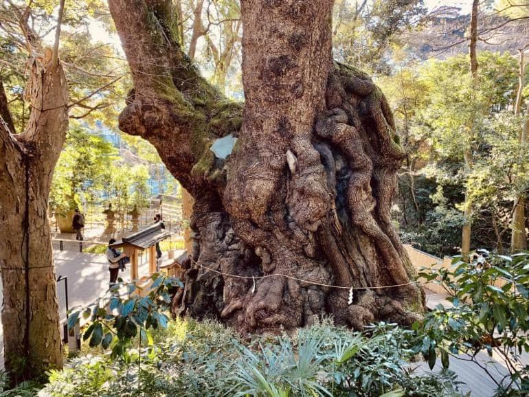 Aed väljaspool majutusasutust #熱海古民家 #来宮神社 バーベキュー温泉