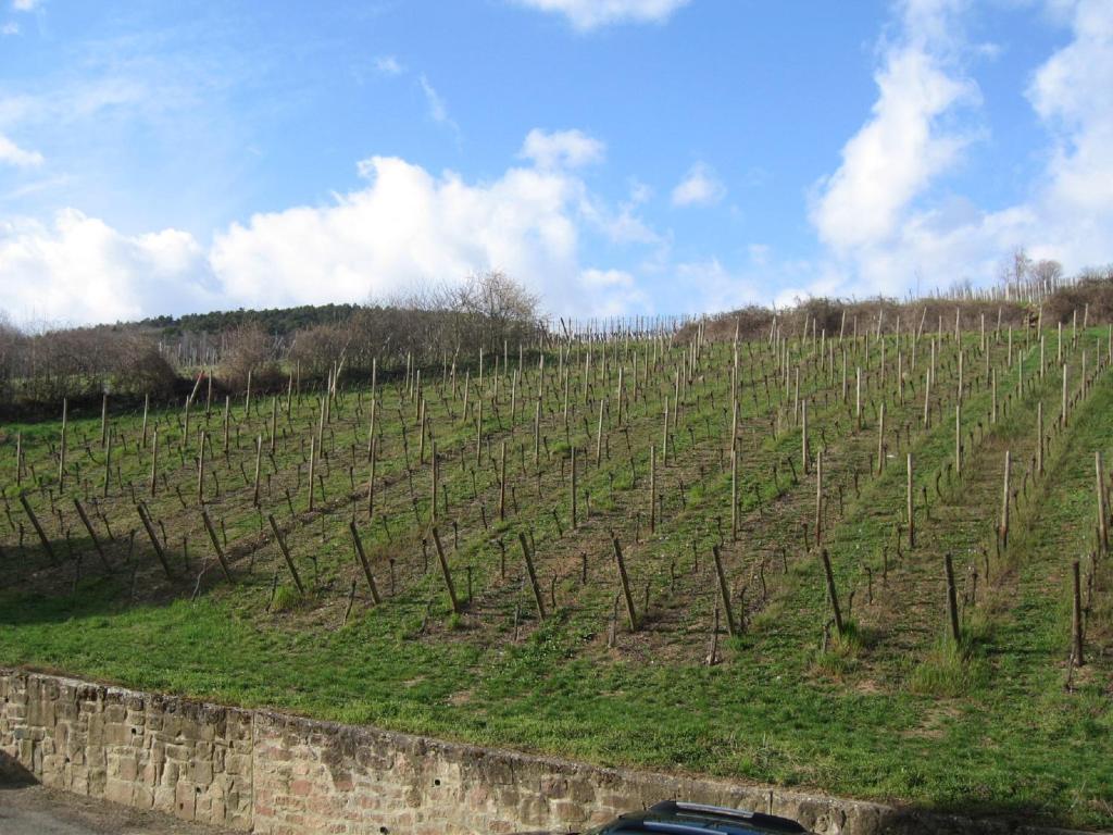 Gite Chez Marianne – photo 38