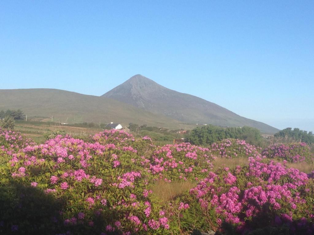 Achill Water's Edge