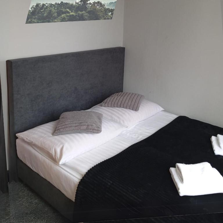 Hotel Helios 300m od Krupówek nowy BASEN od 12 lipca - Resim 43