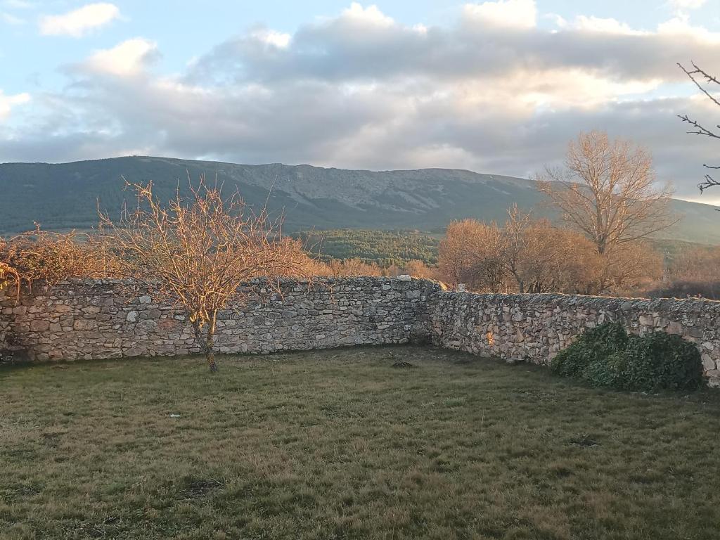 Príroda v okolí dovolenkového domu