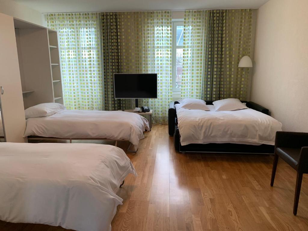 Residence Apartments by Hotel du Commerce - Resim 6