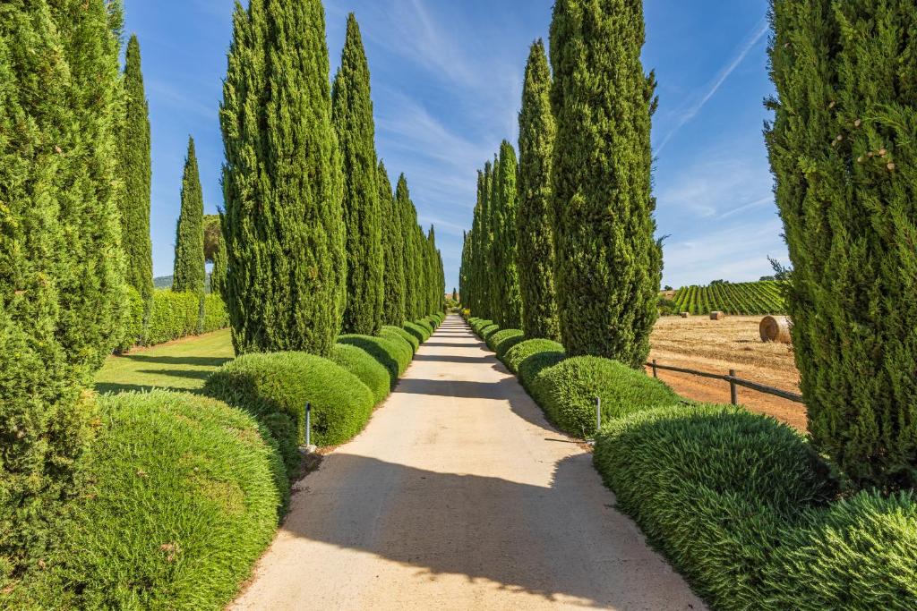 Il casale degli olivi