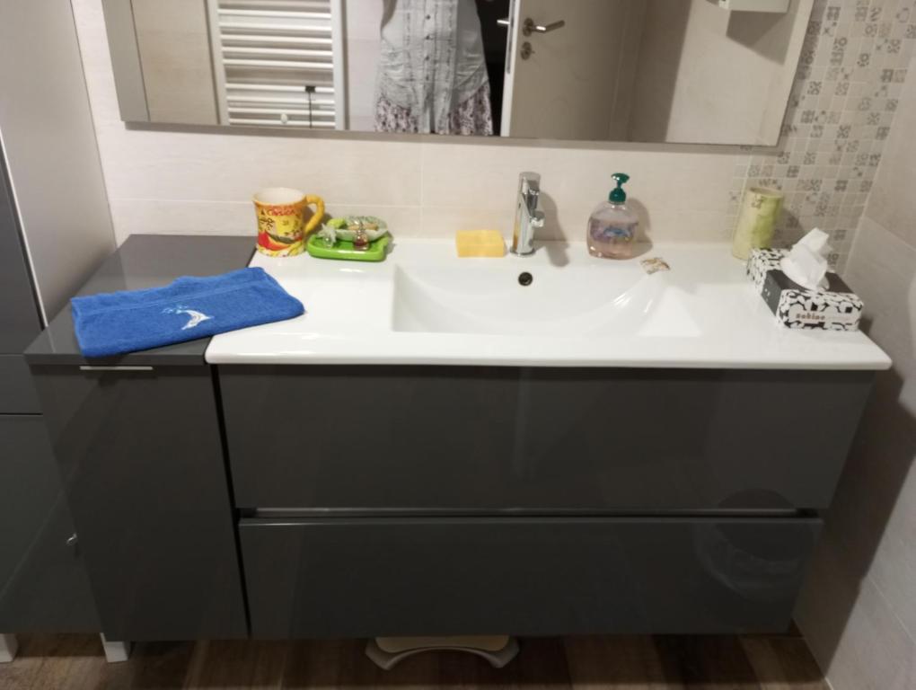 a bathroom with a sink and a mirror at Casa Di sardhina in Ghisonaccia