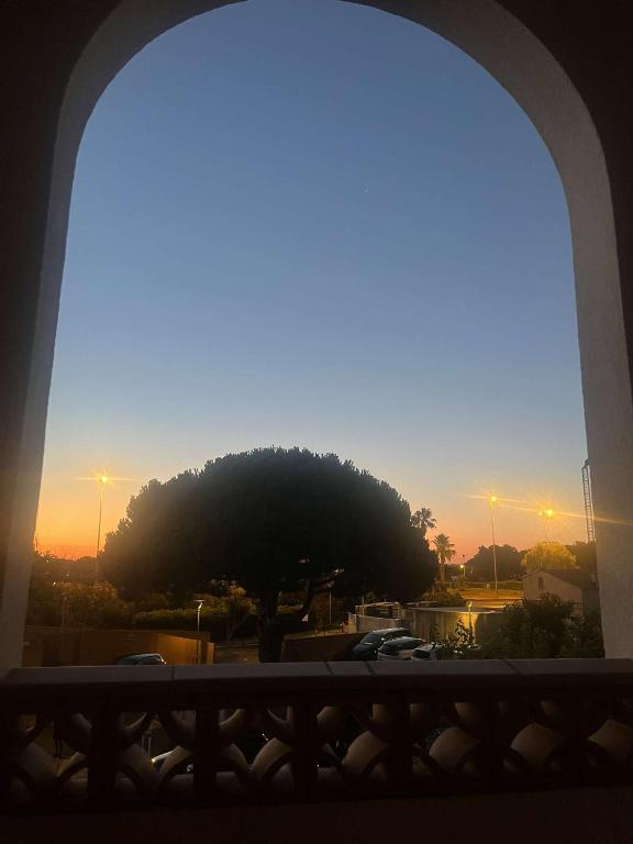 - une vue sur un grand arbre depuis une fenêtre dans l'établissement Appartement pour 5 avec piscine, au Cap d'Agde