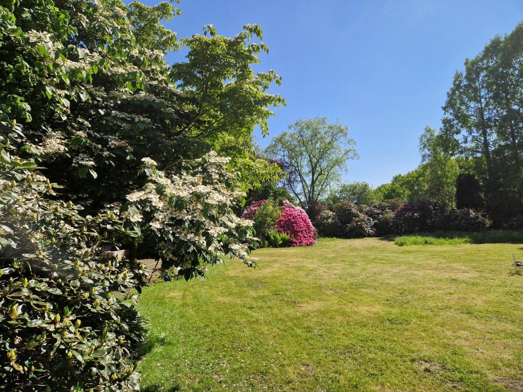 Zahrada ubytování Ferienwohnung Gartenblick