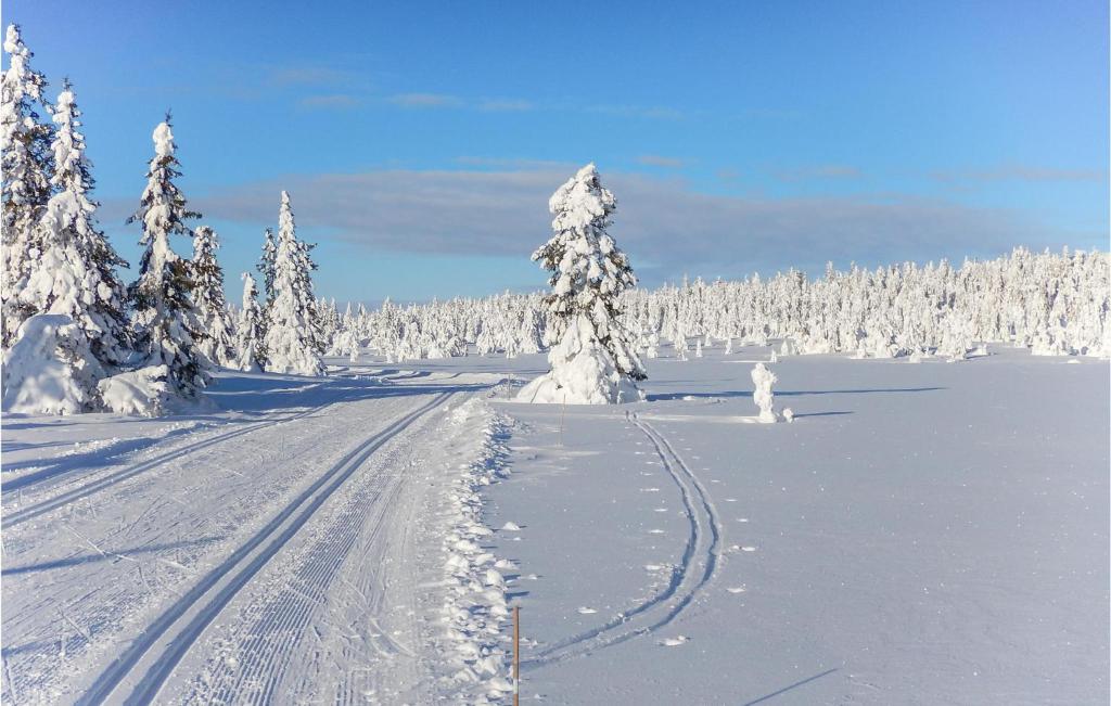 Schnee bedeckt Straße mit schneebedeckten Bäumen in der Ferne in der Unterkunft Three-Bedroom Holiday Home In Sjusjoen in Sjusjøen
