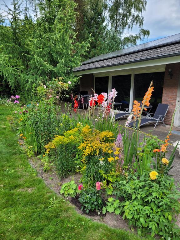 Zahrada ubytování Ferienwohnung Gartenblick
