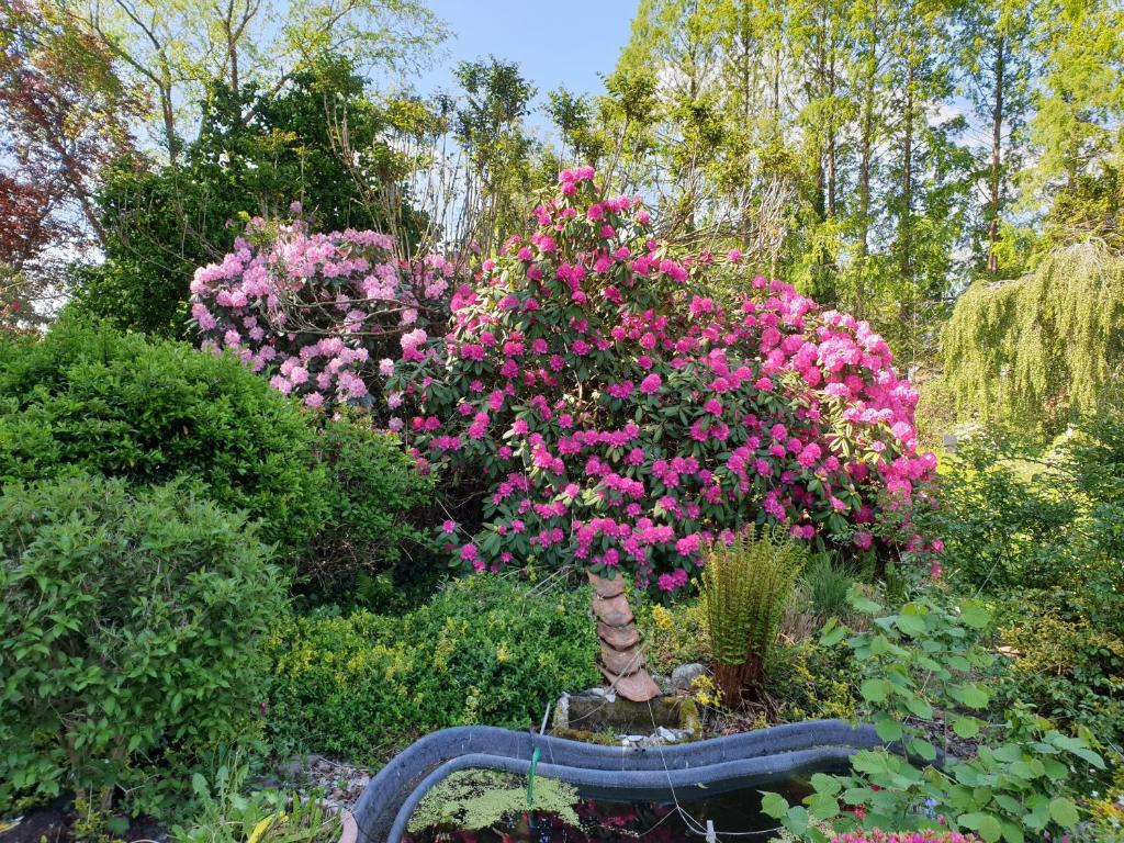 Zahrada ubytování Ferienwohnung Gartenblick