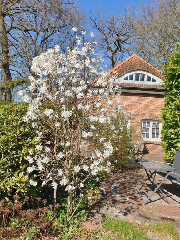 Zahrada ubytování Ferienwohnung Gartenblick