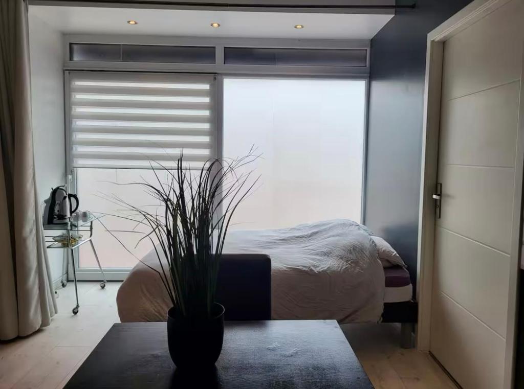 a bedroom with a bed and a table with a plant at Le Grand Studio Centre Gare in Épinal