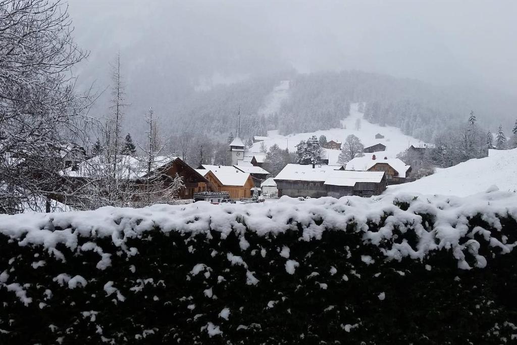 Cosy authentic Chalet in Gsteig bei Gstaad v zimě