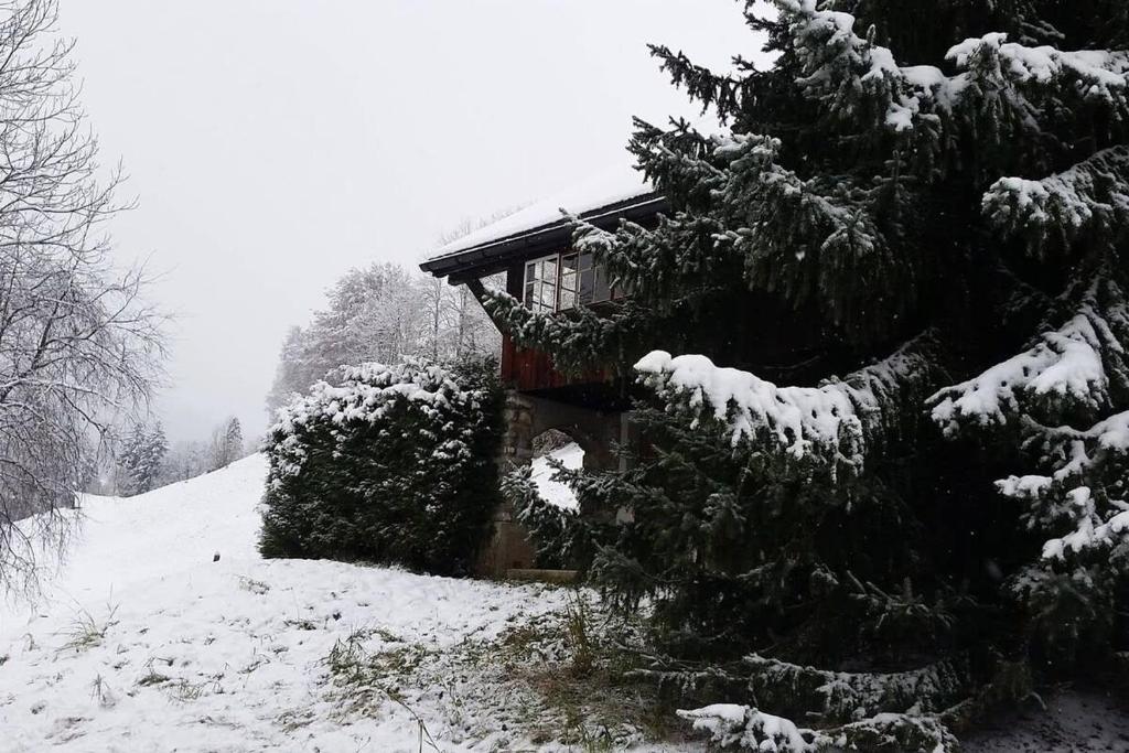 Cosy authentic Chalet in Gsteig bei Gstaad v zimě
