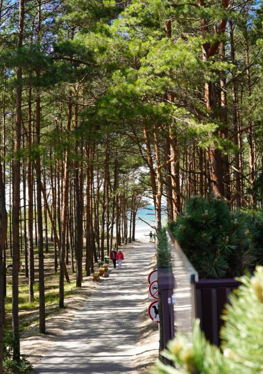 a tree lined path with people walking down it at Kurortas Apartments in Palanga