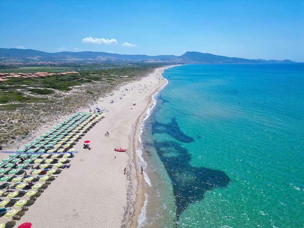 Φωτογραφία από το άλμπουμ του THR - Mimose σε Badesi