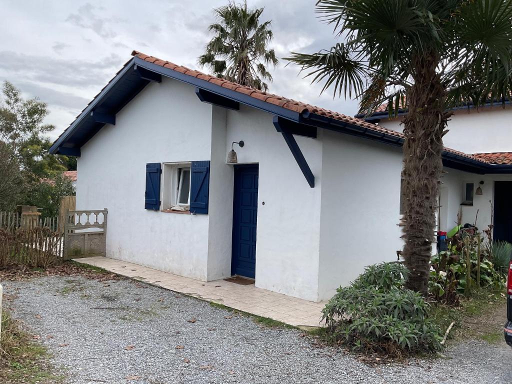 a white house with a blue door and a palm tree at Lau Anaiak in Bidart