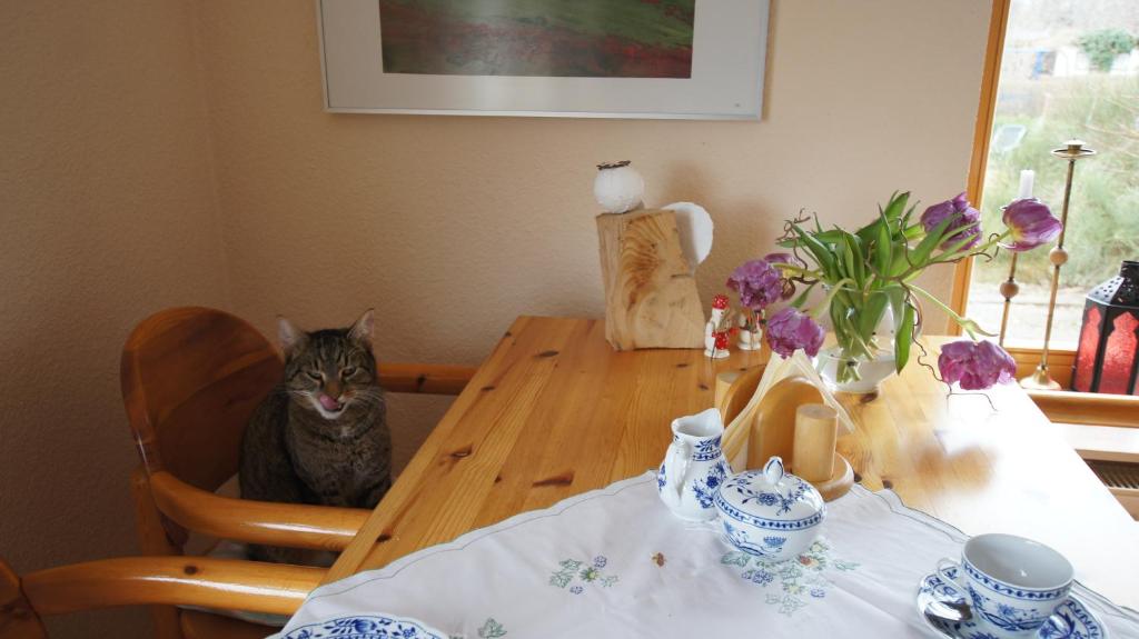 a cat sitting on a chair at a wooden table at Pension Moritz und Hofladen unterm Storchennest -16303 Schwedt,Schwedter Allee1 in Schwedt