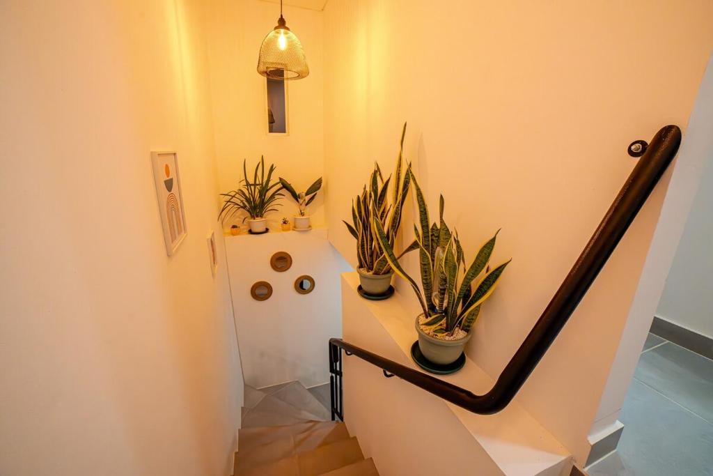 Fotografie z fotogalerie ubytování Espectacular Casa de Ensueño "Jacuzzi Privado" en Ricaurte - Peñalisa v destinaci Ricaurte