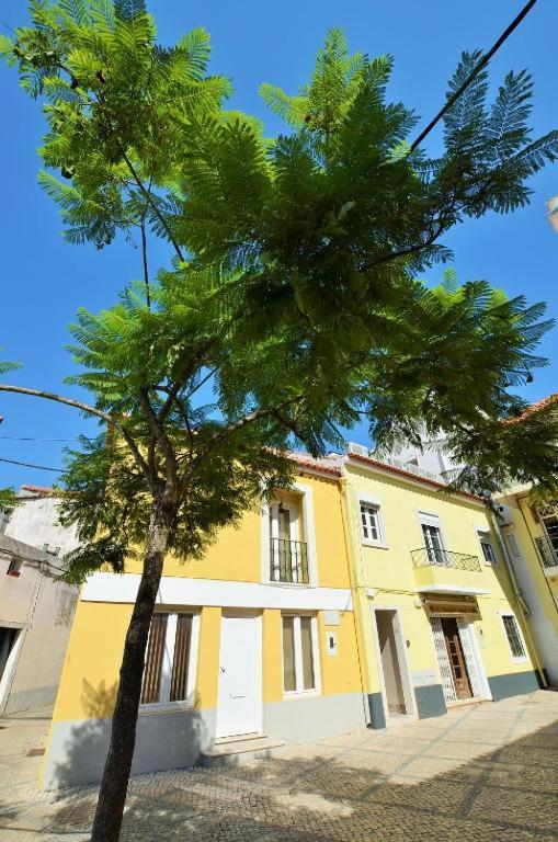 a tree in front of a yellow building at Stay DP Setúbal in Setúbal
