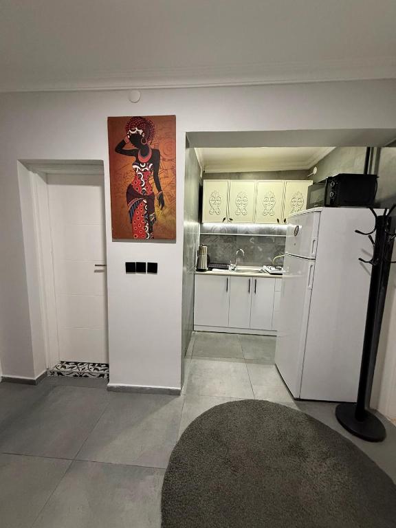 Kuchyň nebo kuchyňský kout v ubytování GV Suites Galata