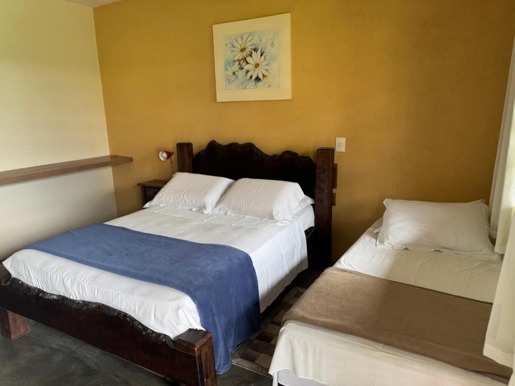 a bedroom with two beds and a picture on the wall at Apartamento na Fazenda c/ Piscina Termica in Palmeira