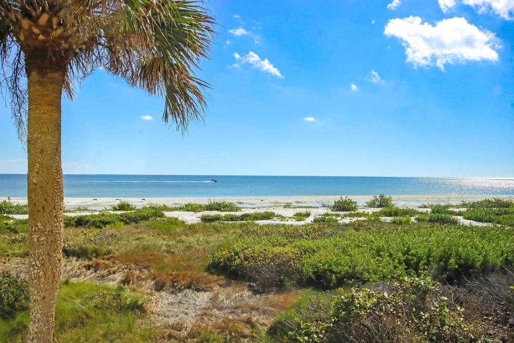 a palm tree on a beach with the ocean in the background at Stylish 2BR Sanibel Condo With Amazing Beach Views 5C2 in Sanibel