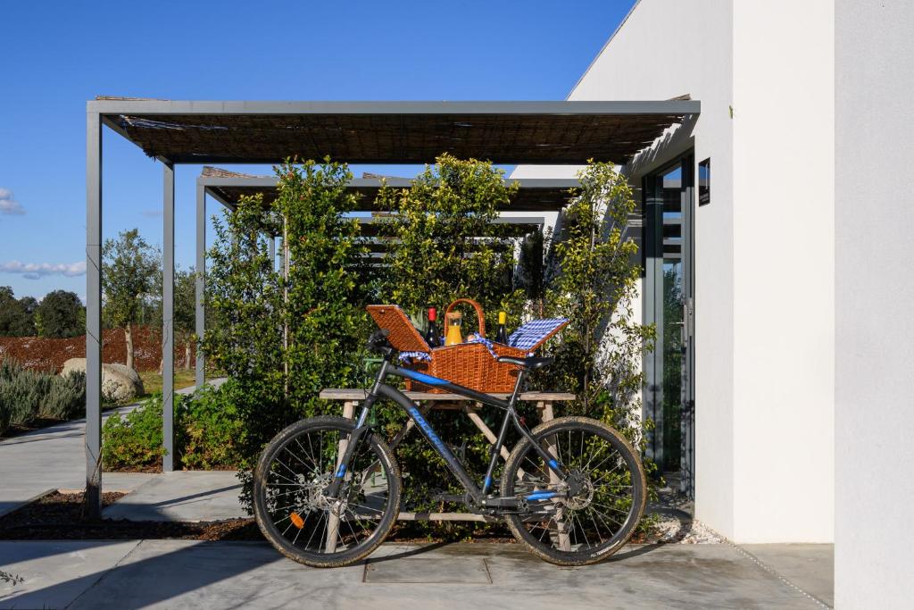 Quinta da Amendoeira - Évora - The Farmhouse - 9