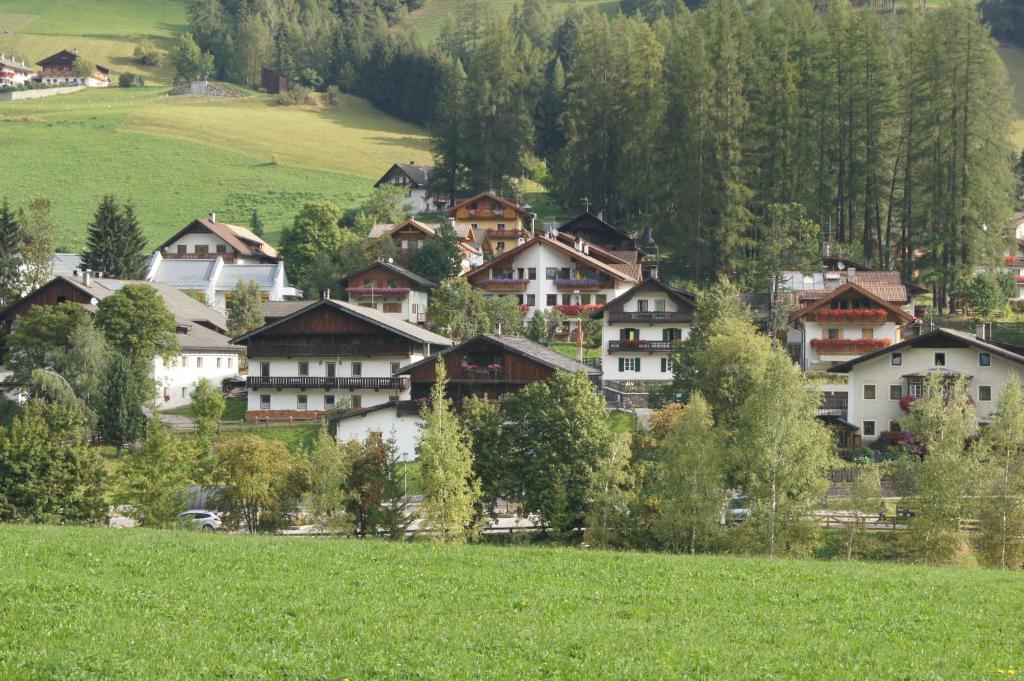 Príroda v okolí apartmánu