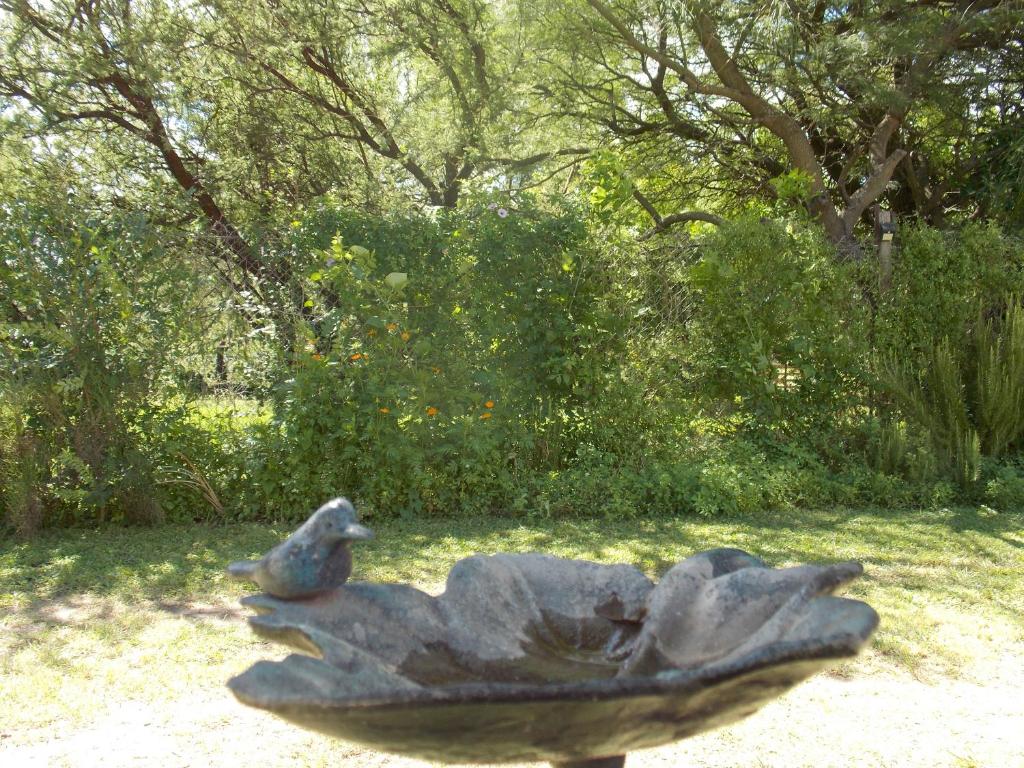 La cabañita de Maco