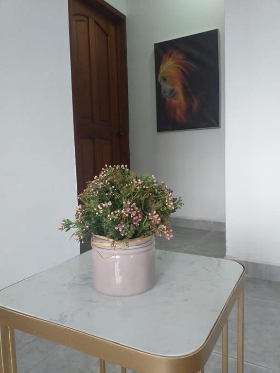 Fotografie z fotogalerie ubytování Hermoso y cómodo apartamento en Leticia v destinaci Leticia