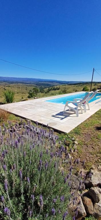 a swimming pool in a field with purple flowers at Cabaña Esquina Siracusa in Villa Yacanto