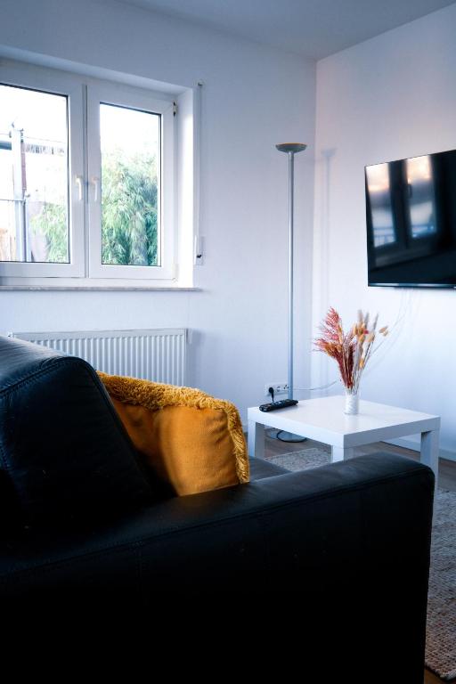 TV a/nebo společenská místnost v ubytování Apartment 1