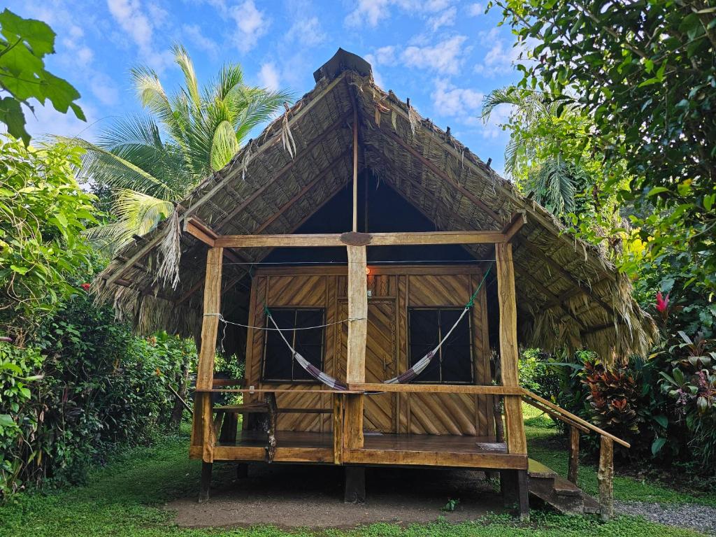Zahrada ubytování Wildlife Lodge Cahuita