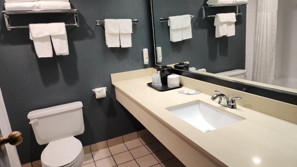 Um banheiro em Quality Inn & Suites Garden Of The Gods