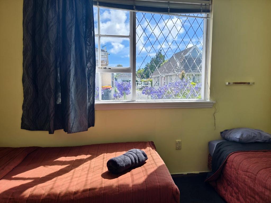 Ferry Motel - Resim 31