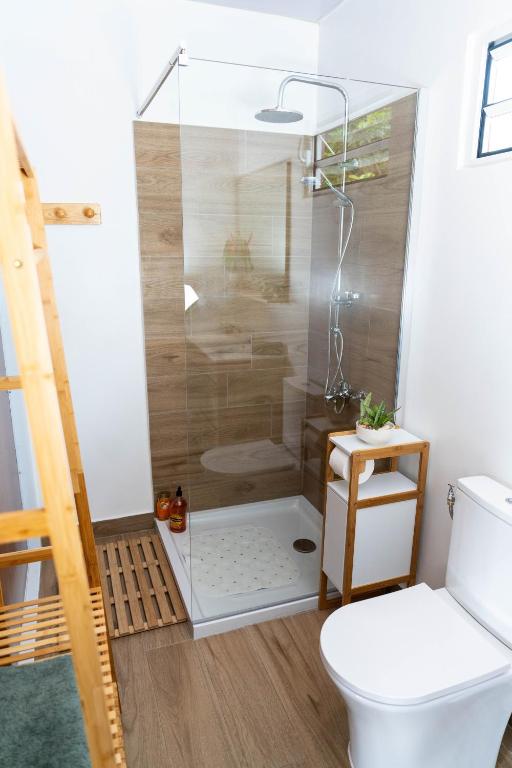 a bathroom with a shower and a toilet at Fare Maraea in Moorea