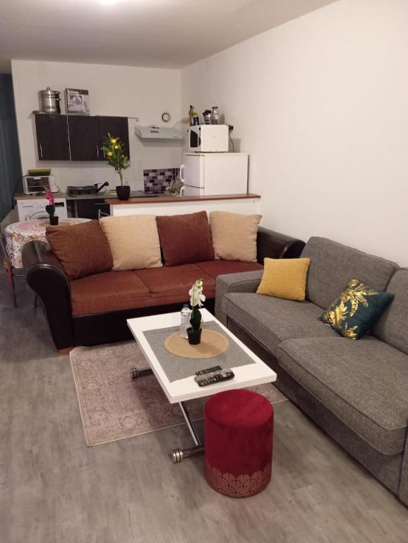 ein Wohnzimmer mit einer Couch und einem Couchtisch in der Unterkunft Elyissa in Vierzon