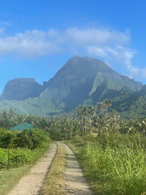 Holiday house Nuupure - Accès plage privée & terrain de Pickelball - photo 10 - Moorea, Polynésie