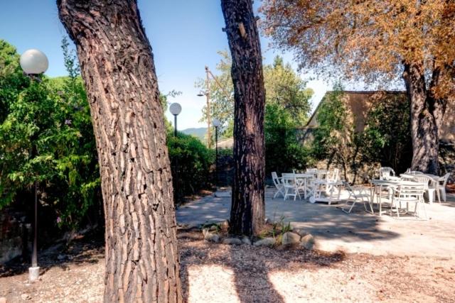 Zahrada ubytování Hotel Il Cavallo