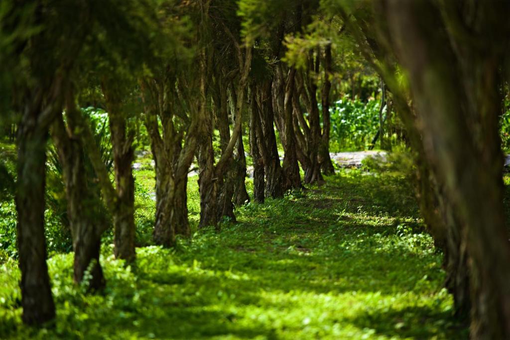 Zahrada ubytování Gaeavilla Resort
