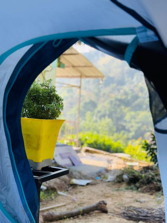Taman di luar Munnar Tents